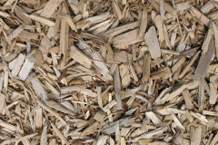 biomass boilers The Pludds